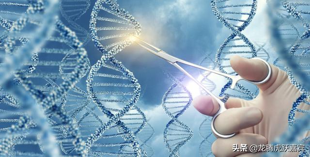 地球生物DNA基因编码有可能来源于其他智慧生物基因工程