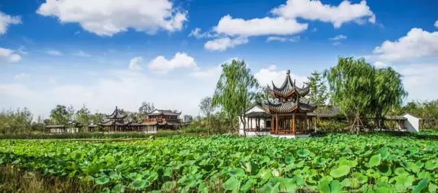 保山干式洗砂机哪里有
