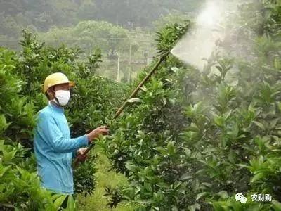 杀虫剂用乳油好，杀菌剂用悬浮剂好！另附农药剂型介绍3