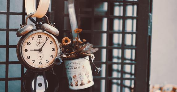 蜗牛式狼性狗肺txt下载(蜗牛式的狼性狼肺txt)