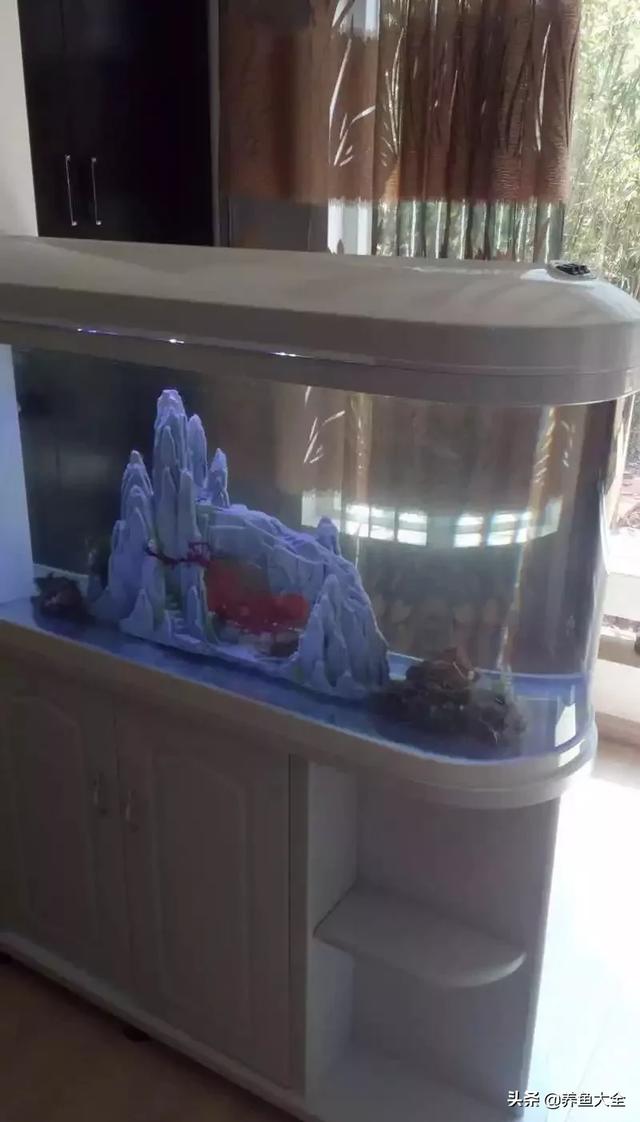 一缸多过滤机