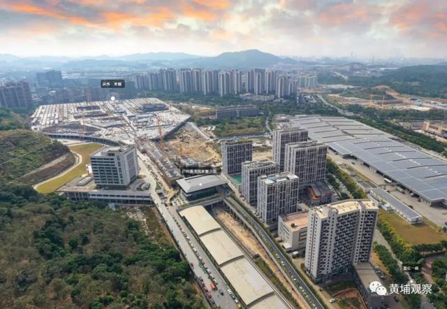 广州市黄埔区过滤机