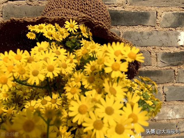 九月：打开秋天的画卷，染上时光的故事
