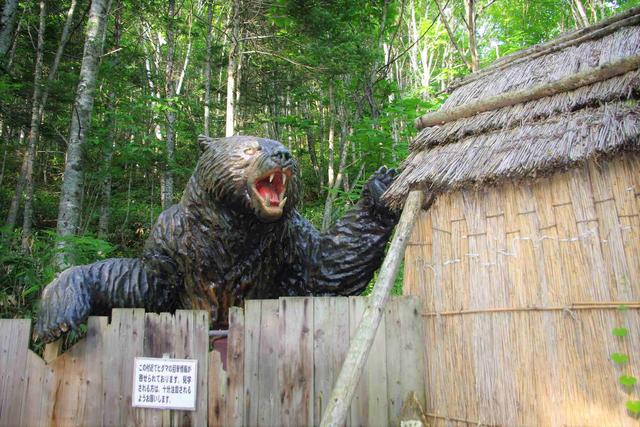 三毛別羆事件始末 為什麼冬天的棕熊不能惹 熊真的會吃人嗎 Kks資訊網