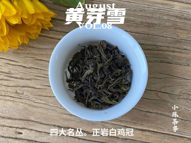 身体浸泡石乳金丹无数