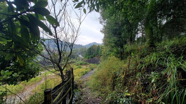 2021年三星note10+当主力机怎么样