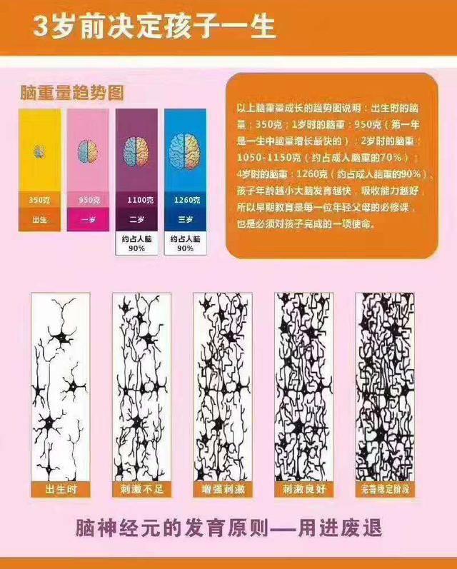 从备孕到哺乳期，5条“红线”不要踩，否则会影响孩子的智商