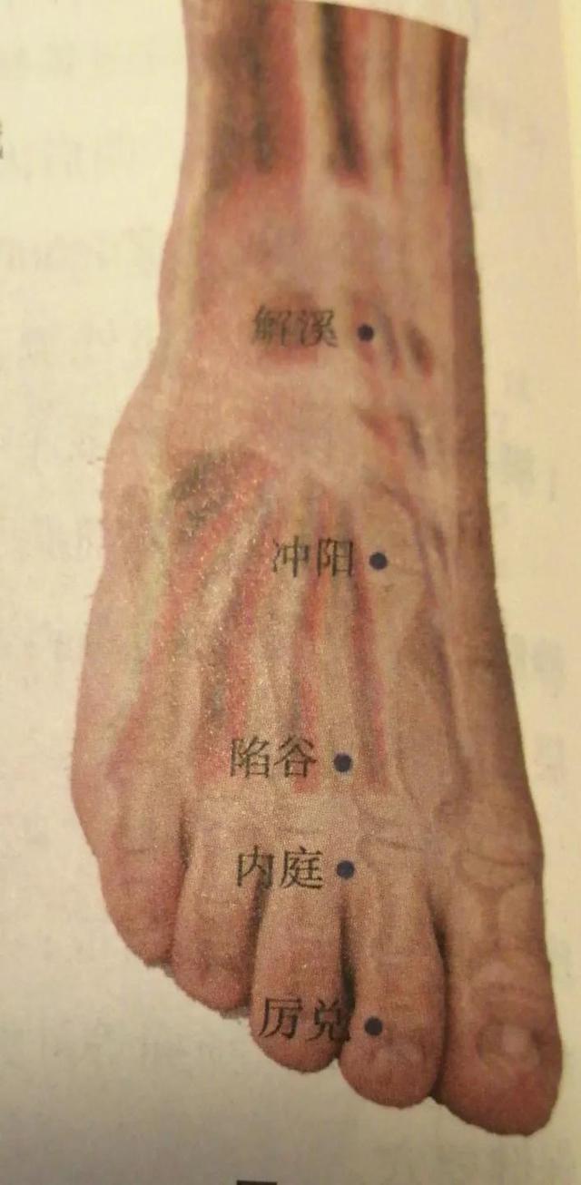 每日一穴……内庭穴