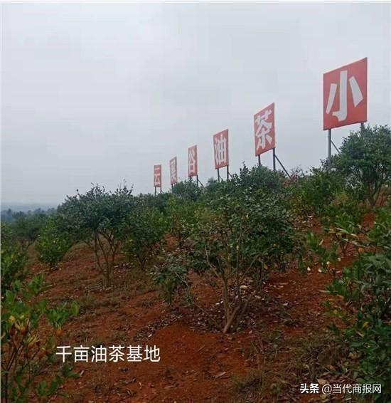 汉寿农业现代化示范区