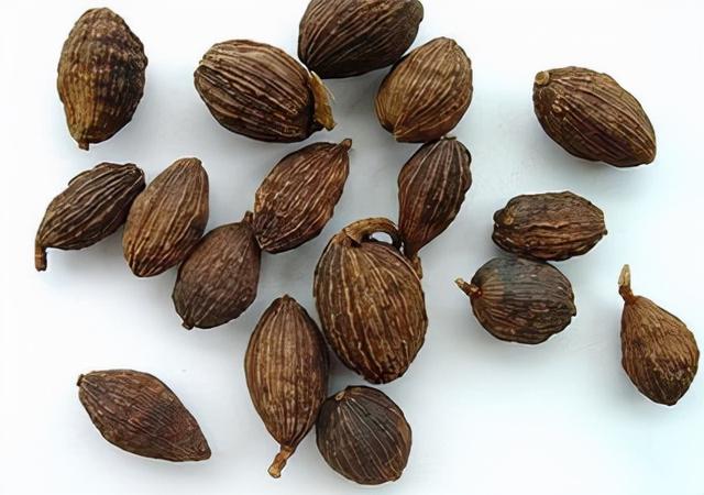 中药｜芳香利湿，健胃醒脾