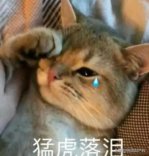 孕妇可以吃西瓜吗 孕妇可以吃西瓜吗（孕妇可以吃西瓜吗中期） 生活
