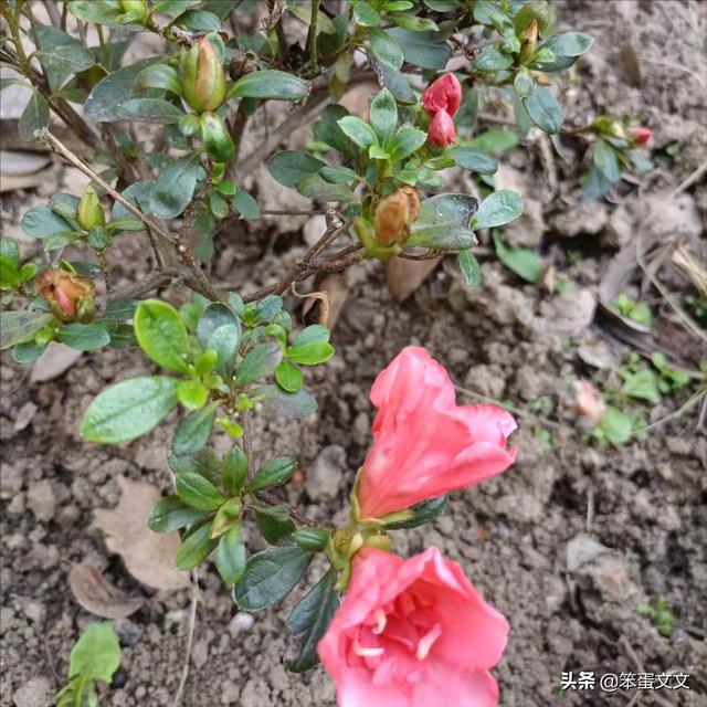 独处是自我的丰富（二）