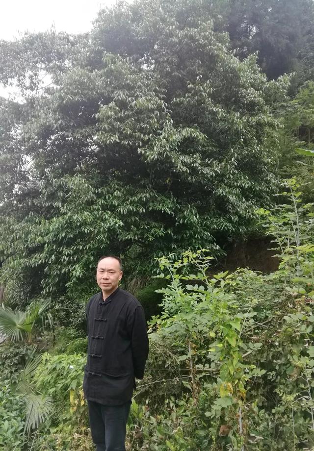 软尘是指什么意思