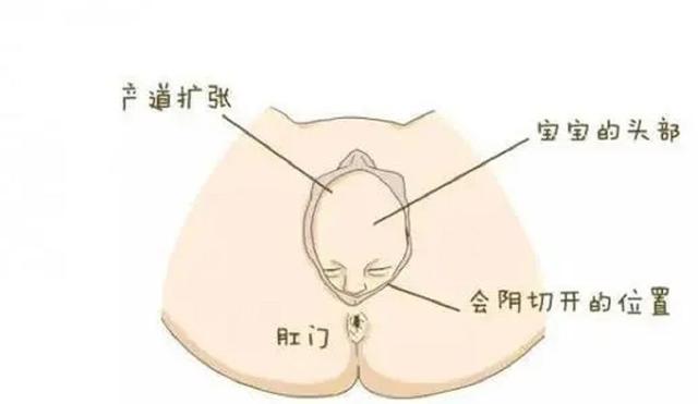 分娩的疼痛令人难以忍受，但为何对动物来说却不值一提？