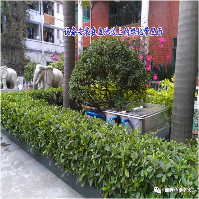 鱼池过滤机怎么使用