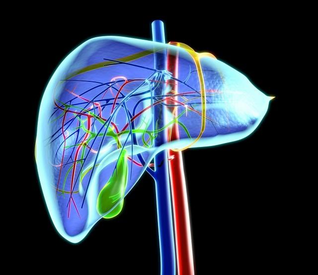 人体不能储存酒精，酒精也不会转化成脂肪，为什么喝酒还会长胖？