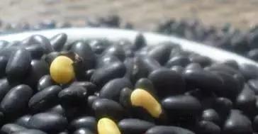 黑豆怎样吃补肾，黑豆这样吃，补肾效果极强，80岁都固齿腿力强