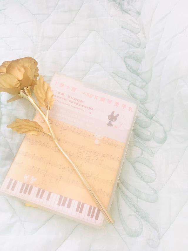 末世女穿越异世古代的小说排行榜完本小说(末世夫妻穿越异世)