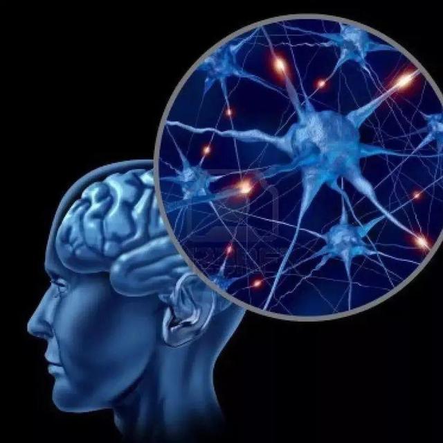 为什么你的孩子不如别人家的聪明