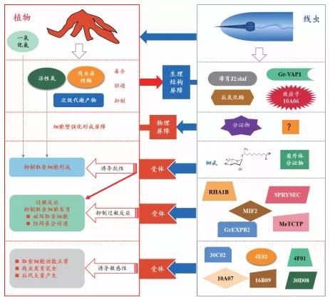 植物线虫危害大？最新最权威的治理技术来了1