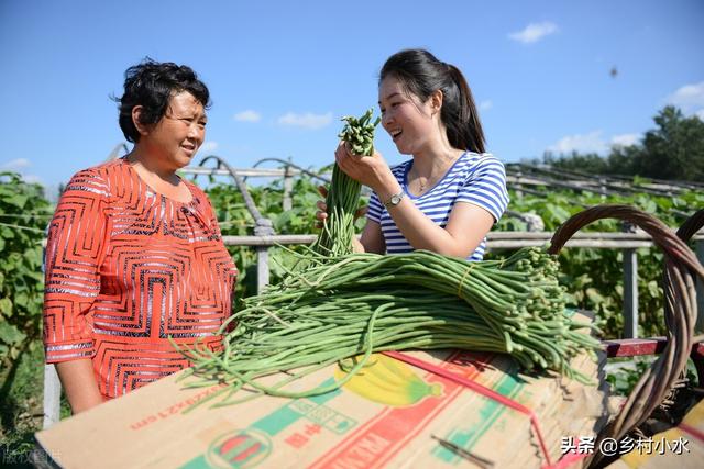 缸豆 缸豆（缸豆高产种植技术） 生活