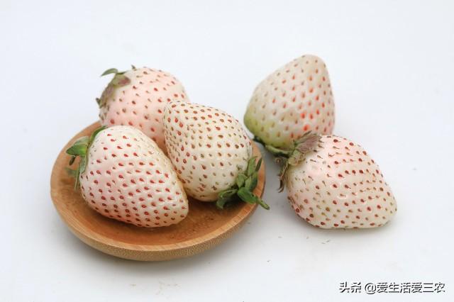在农村卖一台制砂机