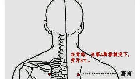 关于灸的常识及保健穴位