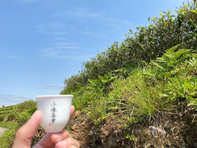 立夏洗砂机