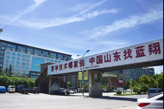 外国势力不允许蓝翔技校做大做强？