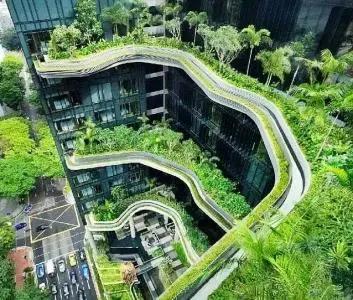 新加坡的另一面，帶你看看真實的新加坡，看完別吃驚