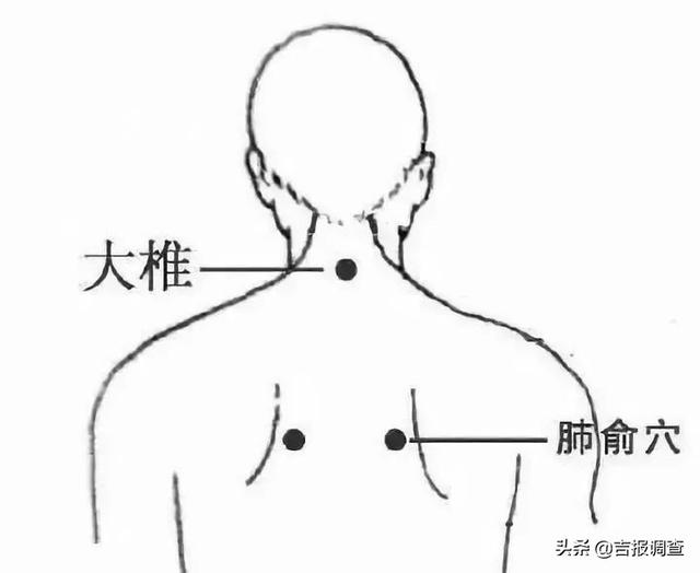 肺与秋气相应！中医专家送你5个养阴护肺小妙招