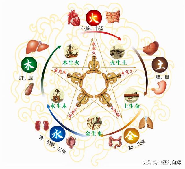 哮喘、肺结核、慢性呼吸衰竭等疾病的朋友，在秋天如何进行调养？