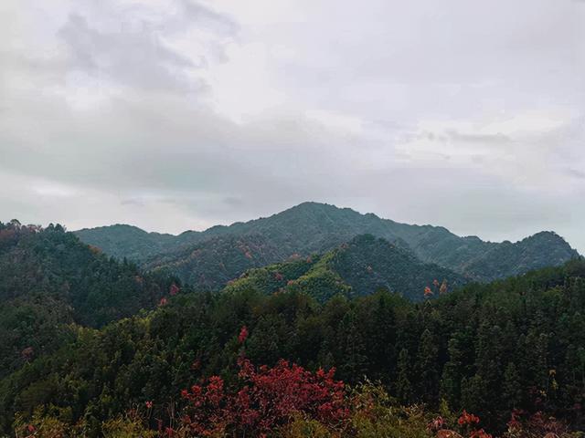 当孩子产生逆反心理跟家长对着干时，看看这位爸爸的神回答