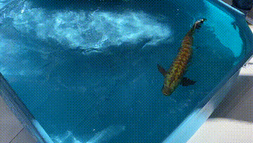 云栖大会：用科技创造“未来世界”，行动迟缓的“巨人”或将倒下