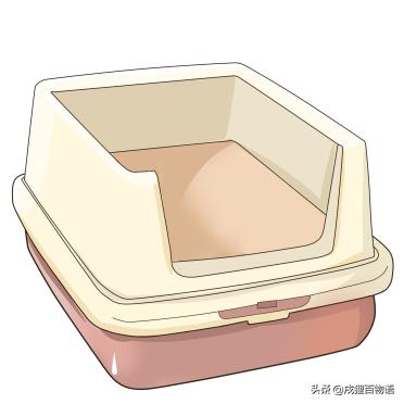 小猫很脏怎么办