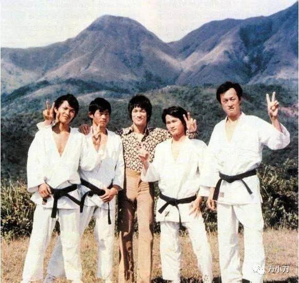 摩登女婿剧情介绍
