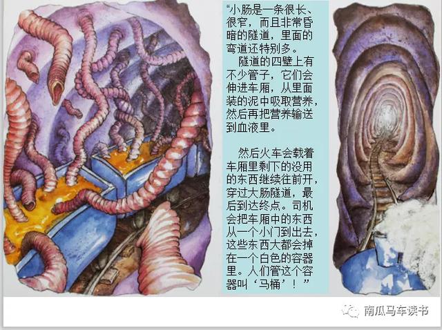 绘本《肚子里有个火车站》：这个故事的感觉就是叽里咕噜噼里啪啦