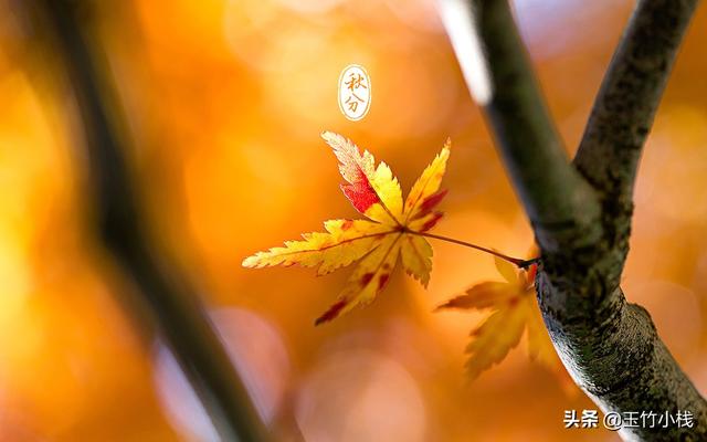 《黄帝内经》教你秋季如何养生