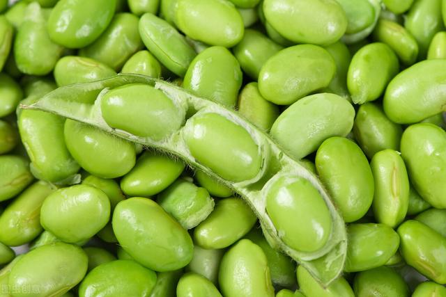 前7名顶级植物蛋白，不吃肉也能获得大量的蛋白质