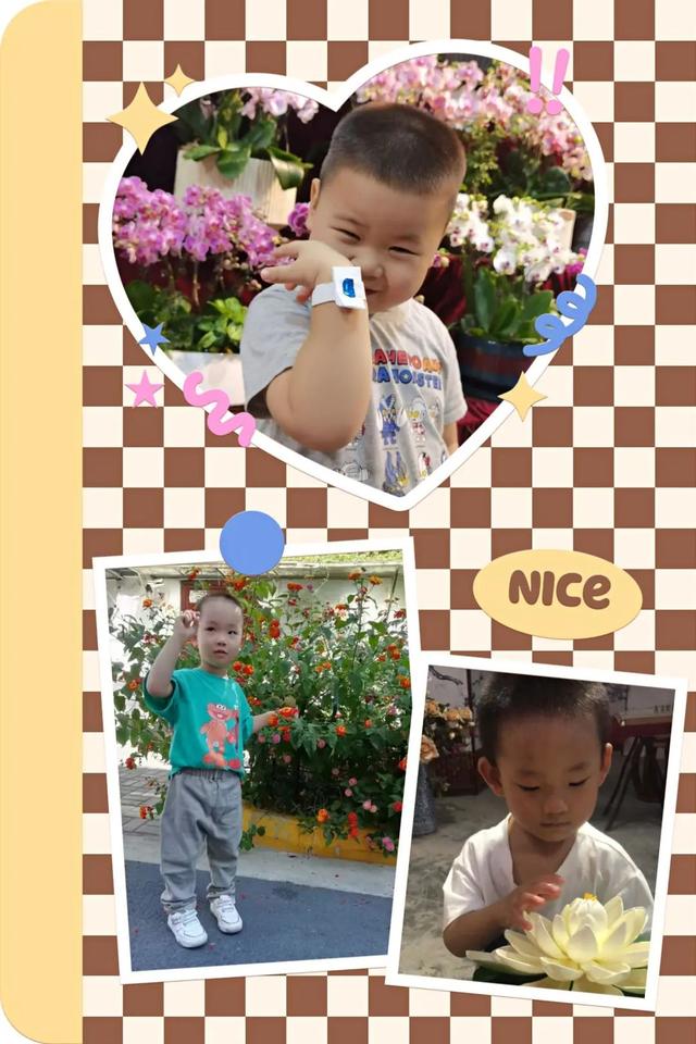 寻花之旅——友联幼儿园小班幼儿《花儿朵朵开》班本课题