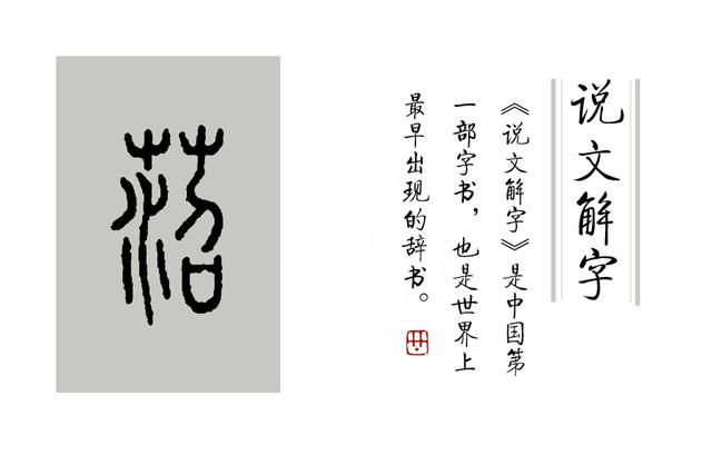 緌的读音