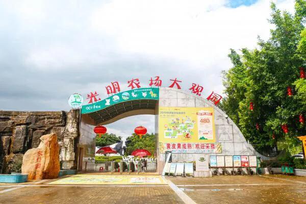 深圳机械展可以带小孩