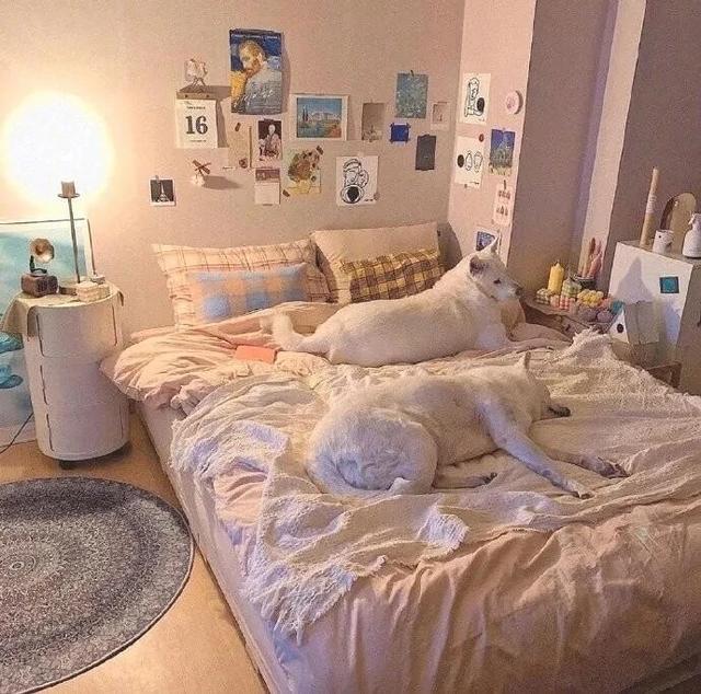 极致温柔的治愈句子