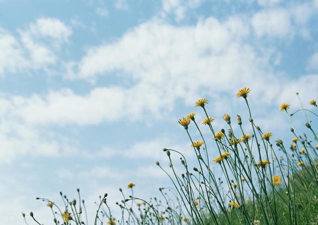 生活小小说：健康问题让我犯了愁