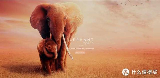 Apple TV 到底是个什么东西，国内买来能干嘛？