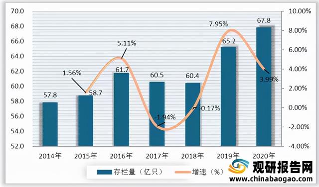 2021年中国家禽行业分析报告-行业竞争格局与发展商机研究