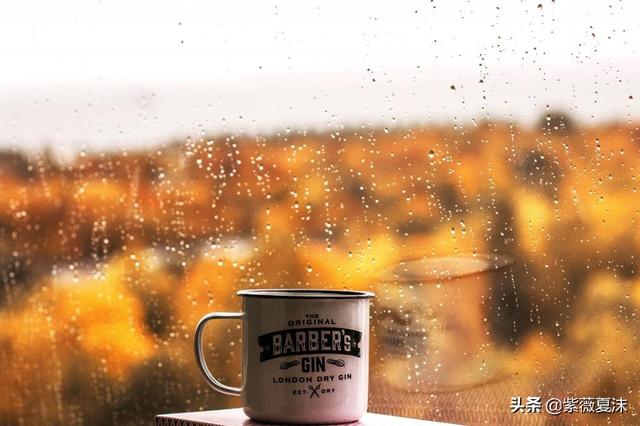 重阳节的秋雨唯美句子，一场秋雨一场寒