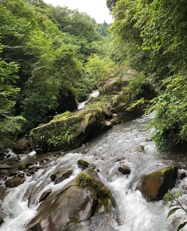 乐山石子洗砂机厂家