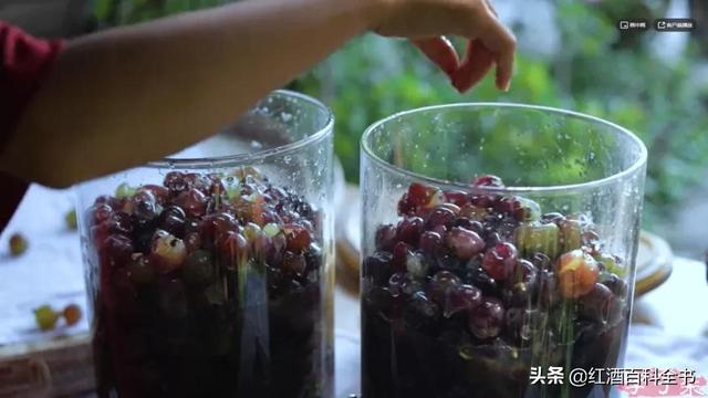 自酿葡萄酒过滤机的用处