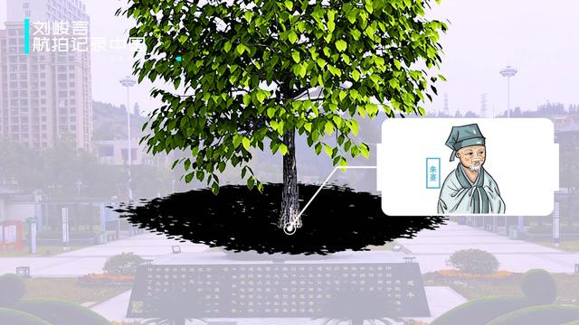 延平区印刷包装机械展费用